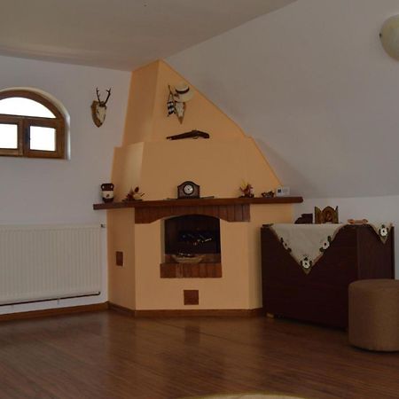 Bed and Breakfast Casa Vlasea Albesti Сігішоара Екстер'єр фото