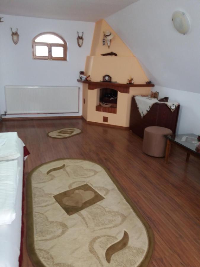 Bed and Breakfast Casa Vlasea Albesti Сігішоара Екстер'єр фото
