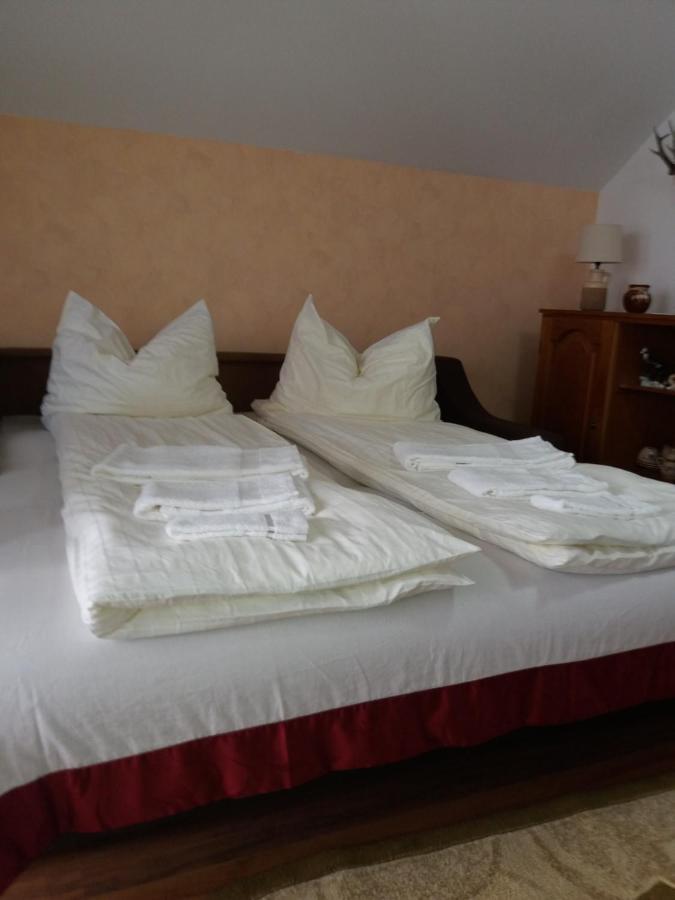 Bed and Breakfast Casa Vlasea Albesti Сігішоара Екстер'єр фото