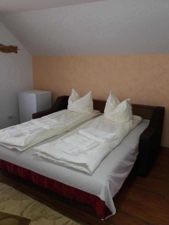 Bed and Breakfast Casa Vlasea Albesti Сігішоара Екстер'єр фото