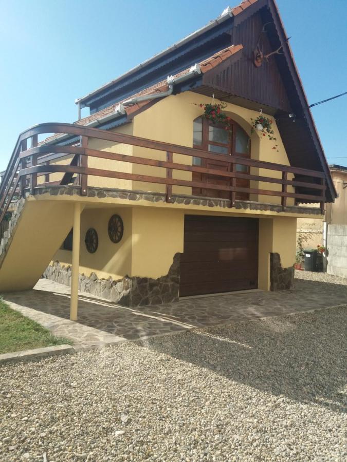 Bed and Breakfast Casa Vlasea Albesti Сігішоара Екстер'єр фото
