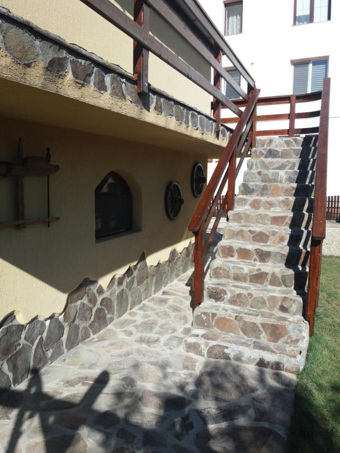 Bed and Breakfast Casa Vlasea Albesti Сігішоара Екстер'єр фото