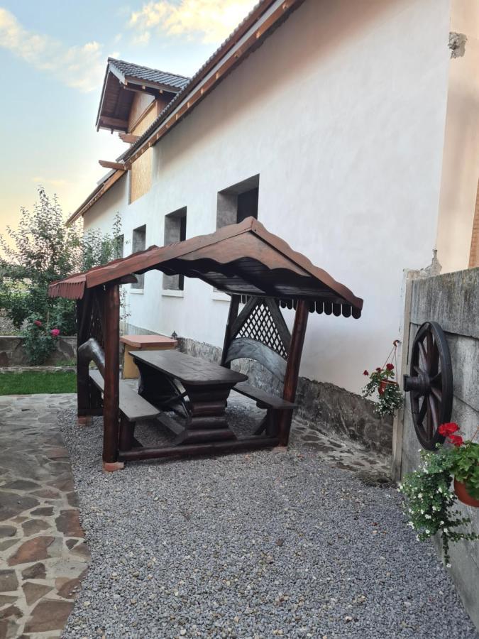 Bed and Breakfast Casa Vlasea Albesti Сігішоара Екстер'єр фото