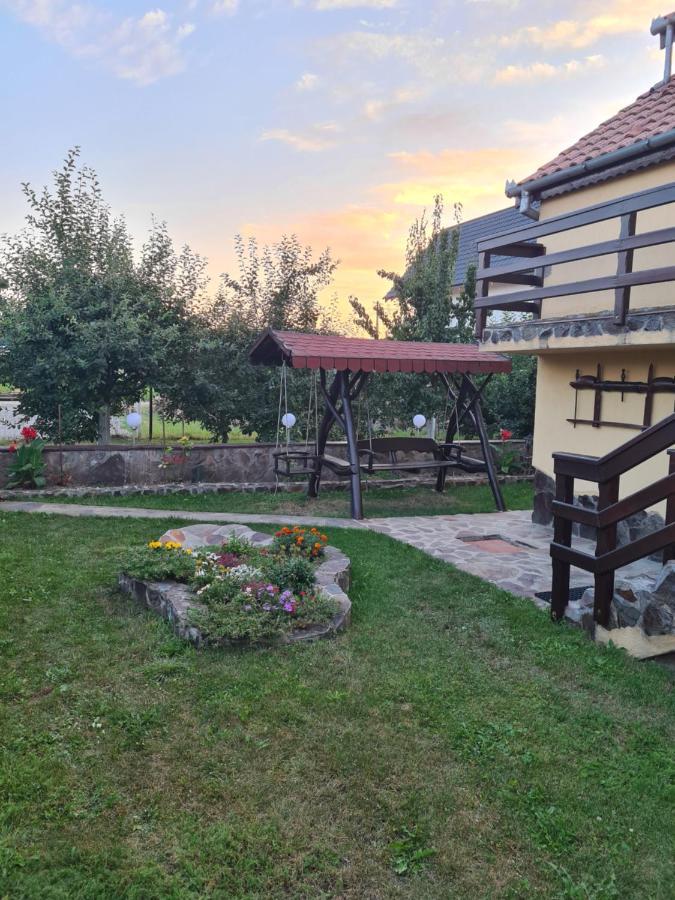 Bed and Breakfast Casa Vlasea Albesti Сігішоара Екстер'єр фото